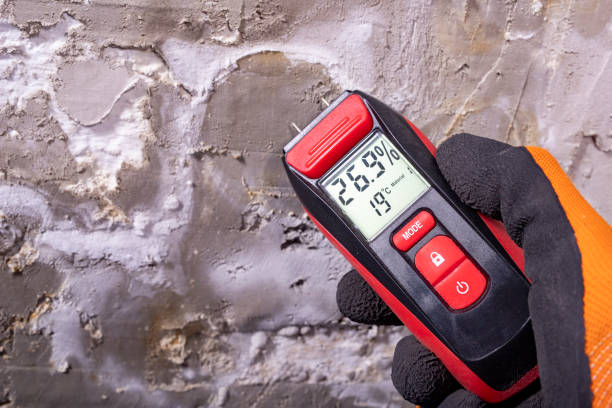 Best Emergency Mold Removal  in Willacoochee, GA